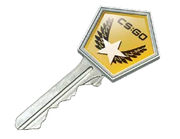 Winter Offensive Case Key
