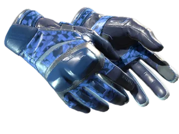 ★ Moto Gloves | Polygon (Factory New)