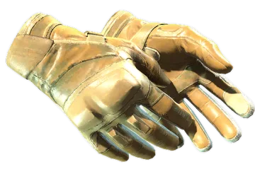 ★ Moto Gloves | Transport (Field-Tested)