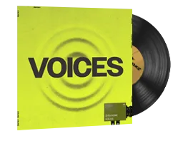 StatTrak™ Music Kit | ShockOne, Voices