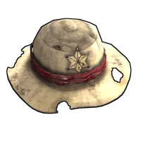 Cowboy Hat