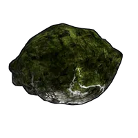 Mossy Fossil