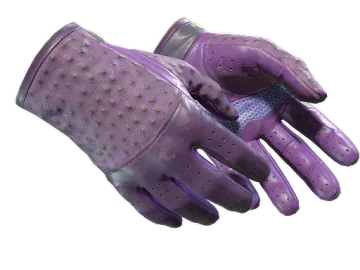 ★ Driver Gloves | Plum Quill (Field-Tested)