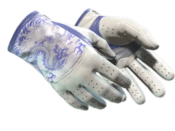 ★ Driver Gloves | Wave Chaser (Minimal Wear)